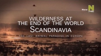 Европа и Мир за её пределами 1 серия. Скандинавия / Planet Europe & Beyond (2015)