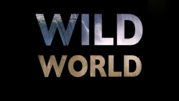 Мир Дикой Природы 1 сезон 1 серия. Цапли и герои / Wild World (2010)