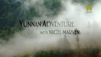 Найджел Марвен - путешествие в Юньнань / Yunnan Adventure with Nigel Marven (2012)