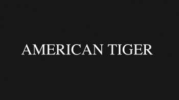Американский тигр / American Tiger (2012)