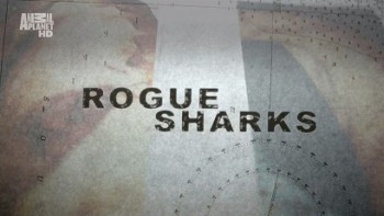 Акулы-людоеды / Rogue Sharks (2011)