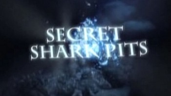 Тайное логово акул / Secret Shark Pits (2008)