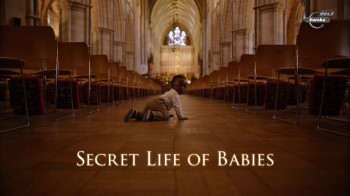 Тайная жизнь детей / Secret Life of Babies (2014)