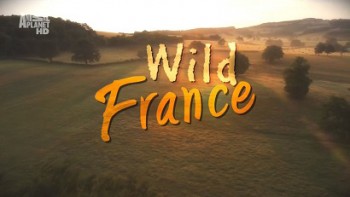 Дикая Франция 1 серия. Скрытая жизнь Бокажа / Wild France (2011)