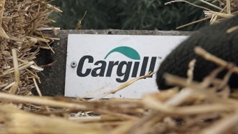 Cargill: пир или голод? / Cargill, la faim justifie les moyens? (2015)