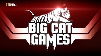 Игры больших кошек / Big cat games (2015) HD
