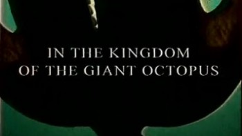 В царстве гигантских осьминогов / In the kingdom of the giant octopus (1997)