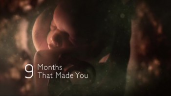 BBC Девять месяцев, которые создают нас 1 серия. Первые 8 недель / The Nine Months That Made You (2011)