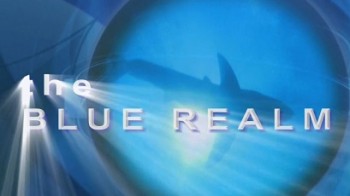 Синее царство: Лазурная страна, В подводном царстве 8 серия. Горбатые киты / The Blue Realm (2004)