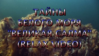 Релакс видео: Тайны Белого моря / Deep Sea (2007)