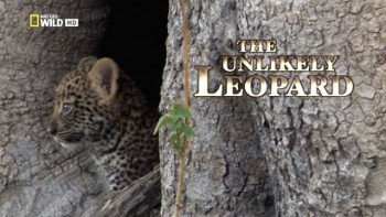 Необычный леопард / The Unlikely Leopard (2012)