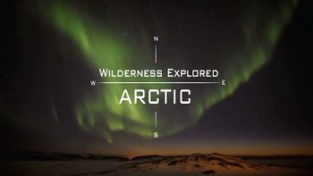 Жизнь в диких местах 1 серия. Арктика / Wilderness Explored (2008)