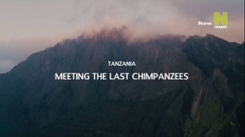 Животный инстинкт 2 сезон 3 серия. Танзания. Встреча с последними шимпанзе / Wild Instinct (2015)