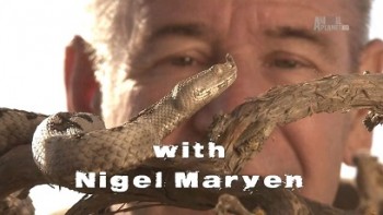 Самые опасные змеи с Найджелом Марвином 5 серия. Малайзия / Ten Deadliest Snakes with Nigel Marven (2015)