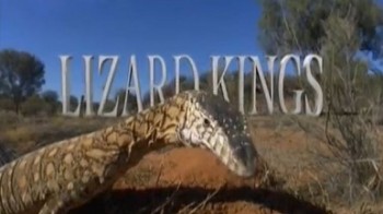 Король ящериц / Lizard Kings (2009)