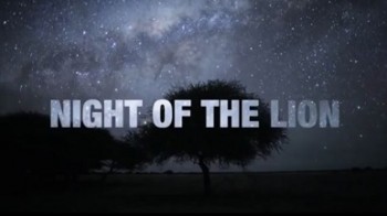 Ночь льва / Night of The Lion (2010)