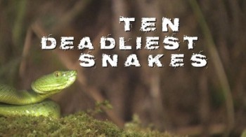 Самые опасные змеи с Найджелом Марвином 6 серия. Австралия / Ten Deadliest Snakes with Nigel Marven (2015)