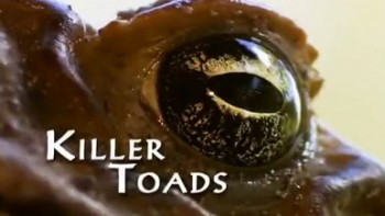 Жабы убийцы / Killer Cane Toad (2006)