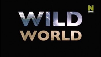 Мир Дикой Природы 3 сезон 4 серия. Змеи воочию / Wild World (2013)