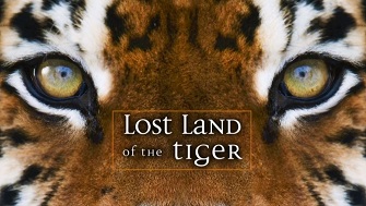 Экспедиция Тигр: В поисках последнего тигра 3 серия / Lost Land of the Tiger (2010)