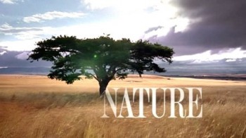 PBS: Природа - Дом животных / PBS: Nature - The Animal House (2011)
