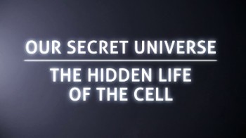 Внутренняя Вселенная: Тайная жизнь клетки (2014)