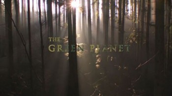 Зеленая планета / The Green Planet (2012)