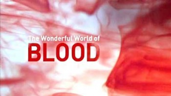 Удивительный мир крови (2016)