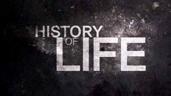 История жизни 3 серия. Из моря на сушу и обратно / History of life (2012)