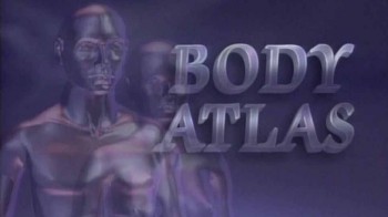 Атлас тела 4 серия. Мышцы и кости / Body atlas (1994)