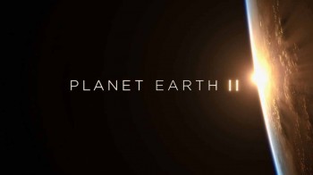 Планета Земля 2 сезон 1 серия. Острова / Planet Earth II (2016)
