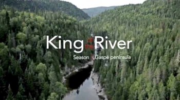 Король реки 1 серия / King of the River (2015)
