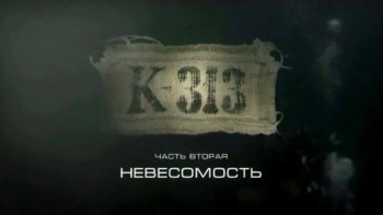 К-313 Невесомость (2011)