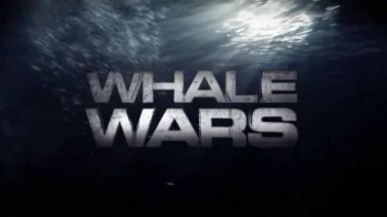 Китовые войны 3 сезон 06 серия. Катер пополам (2010)