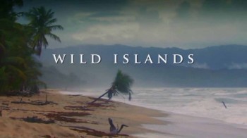 Дикие острова: Невиданные острова 3 серия. Занзибар / Unseen Islands (2015)
