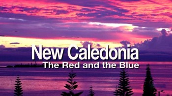 Открывая мир с Пьером Брувером. Новая Каледония. Красное и голубое (2009)