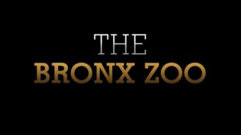 Зоопарк 01 серия / The Bronx Zoo (2016)