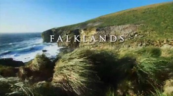 Дикие острова 5 серия. Фолклендские острова / Unseen Islands (2015)