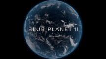 Голубая планета 2: 1 серия. Один океан / Blue Planet II (2017)