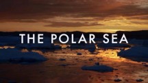 Полярные воды 3 серия / The Polar Sea (2018)