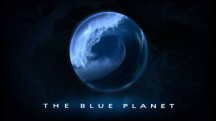 Голубая планета 4 серия. Замерзшие моря / The Blue Planet (2001)