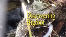 Обнаружен снежный человек / Discovering Bigfoot (2017)