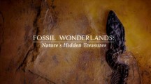 Страна ископаемых чудес 1 серия. Странности природы / Fossil Wonderlands: Nature's Hidden Treasures (2014)