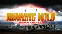 Звездное выживание с Беаром Гриллсом 4 сезон 1 серия. Джозеф Гордон-Левитт / Running Wild Bear Grylls (2018)
