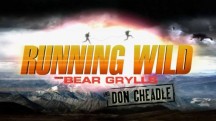 Звездное выживание с Беаром Гриллсом 4 сезон 6 серия. Узо Адуба / Running Wild Bear Grylls (2018)