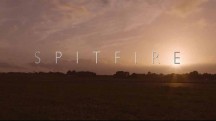 Спитфайр / Spitfire (2018)
