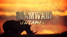 Неукрощенный Шамвари 1 серия / Shamwari Untamed (2017)