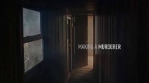 Создавая убийцу 2 сезон 5 серия / Making a Murderer (2018)