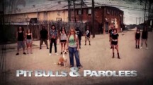 На свободу с питбулем 8 сезон: 18 серия. Прилив / Pit Bulls and Parolees (2018)