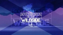 Шотландское общество защиты животных 05 серия / Sottish SPCA (2010)